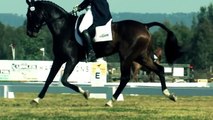 Eventing Equestriad Australia - 2011 Dressage Day