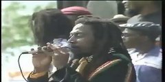 Bunny Wailer 87 