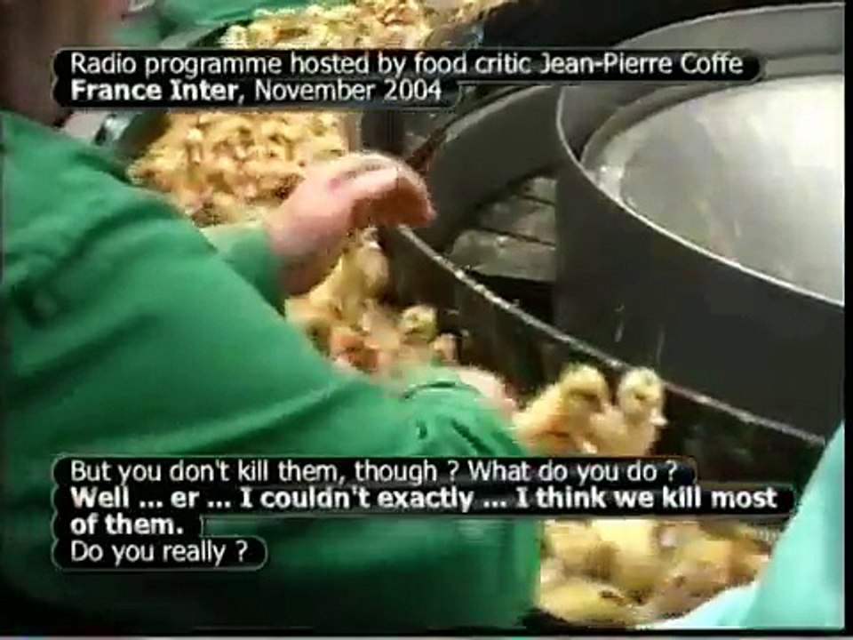 Force feeding under scrutiny
