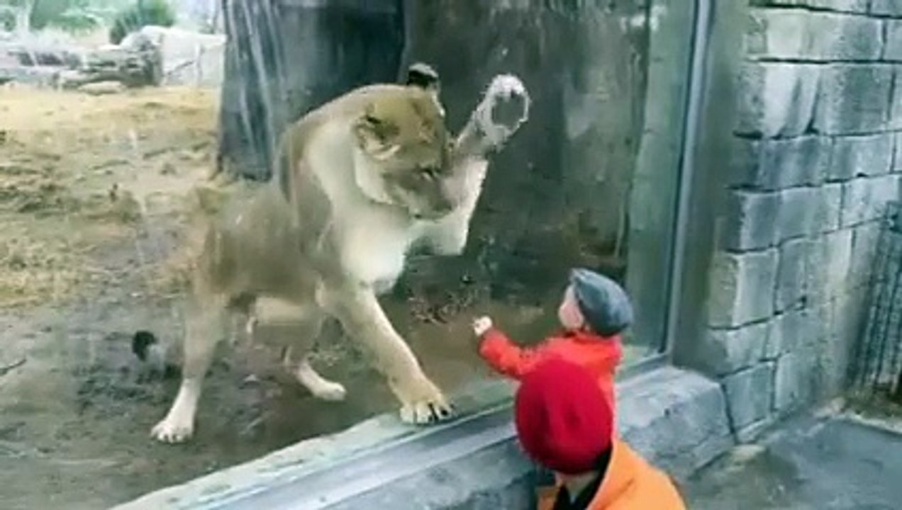 Cannot Reach to kid