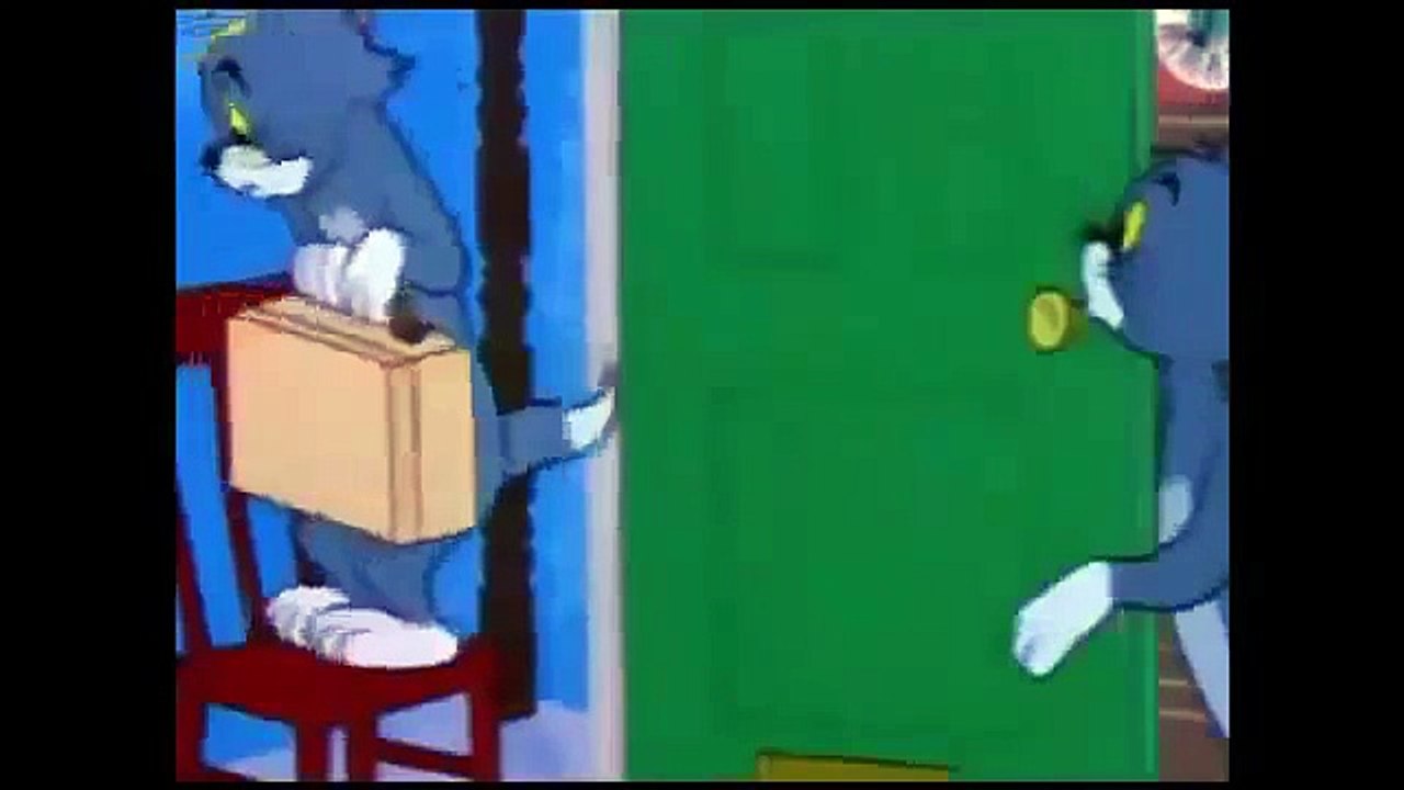 Timid Tabby Tom And Jerry Cartoon