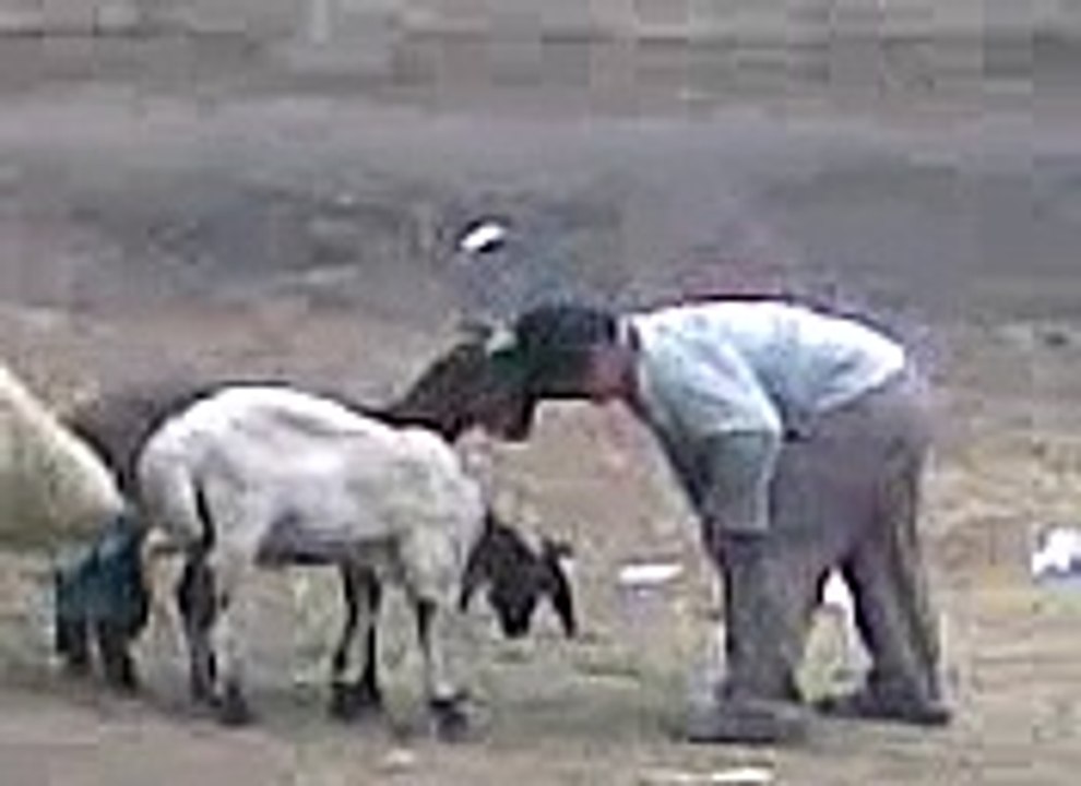 Boy Funy Videos