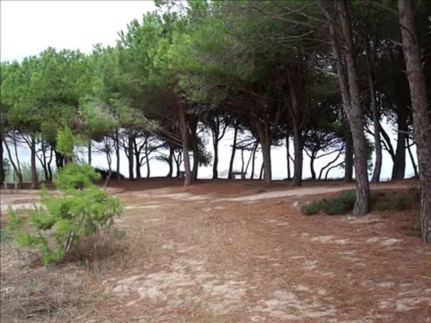 Lotzorai Ogliastra Pineta E Spiaggia Di Isula Manna