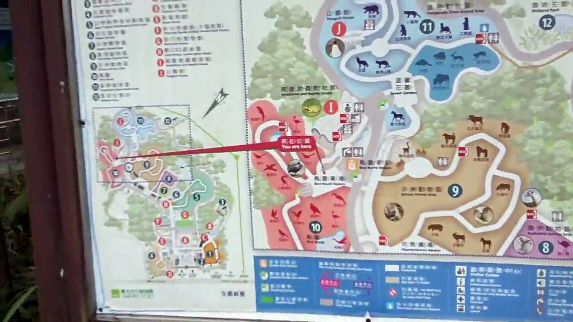 ⁣Taipei Zoo Tour ($2 entrance fee zoo)