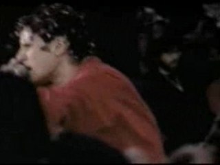 Root Down (Live @ Tibetian Freedom)