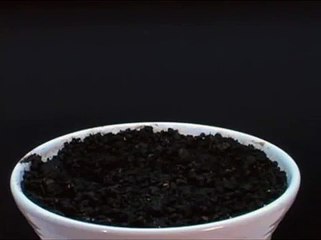 kids learn Plants Growing