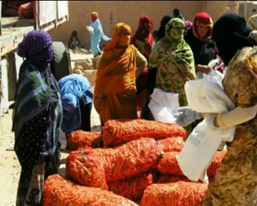 SAHARA OCCIDENTAL sahara libre YA !!!