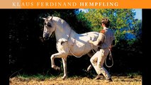 Hempfling - Die Sprache der Pferde - Der Weg zu höchstem Ausdruck 02/2