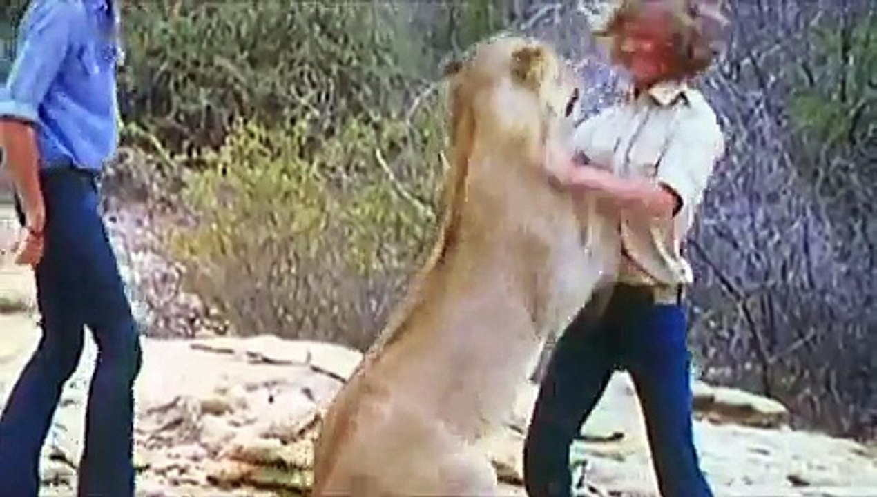 Christian the Lion - full documentation - (german) 3/3