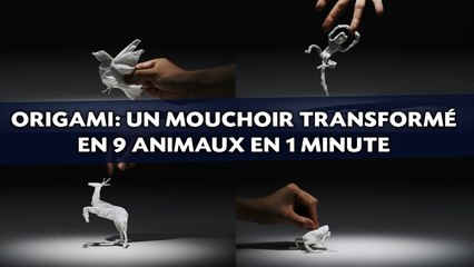 Origami: Un mouchoir transformé en 9 animaux en 1   minute