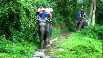 Thailand videos - Overview of Thailand holidays - Kuoni Travel