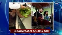 Buin Zoo en CHV Noticias Tarde - Inauguración Centro de Nutrición Animal