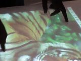 Multi Touch Interactive Table 1/2