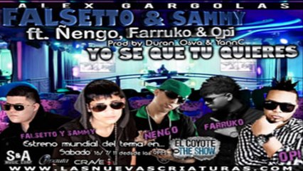Yo Se Que Tu Quieres (Remix) - Falsetto & Sammy Ft Ñengo, Farruko & Opi ★HoyMusic.Com★