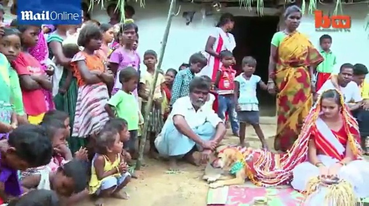 Indian girl marries a stray dog as part of bizarre tribal ritual to ward off evil spirit