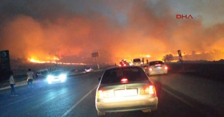 Diyarbakır Lice ve Kulp'taki yangınlar sondürüldü