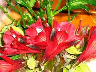 le pouvoir des fleurs