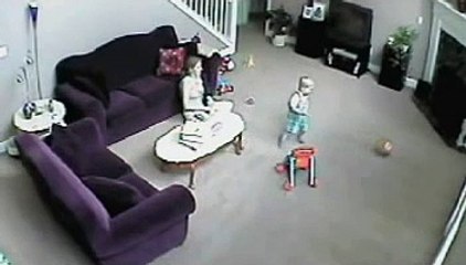Cat Saves Child From Mom