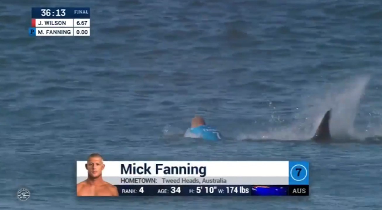 Un surfeur attaqué par un requin en pleine compétition