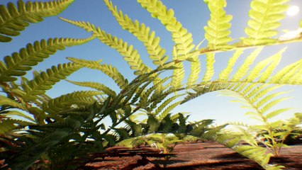 Infinite Bushes & Grass Pack - Unreal Marketplace