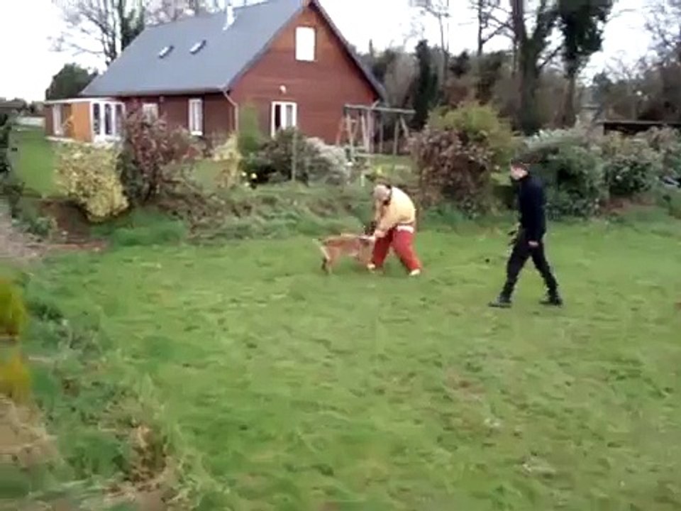maitre chien cast formation A.S.C.C