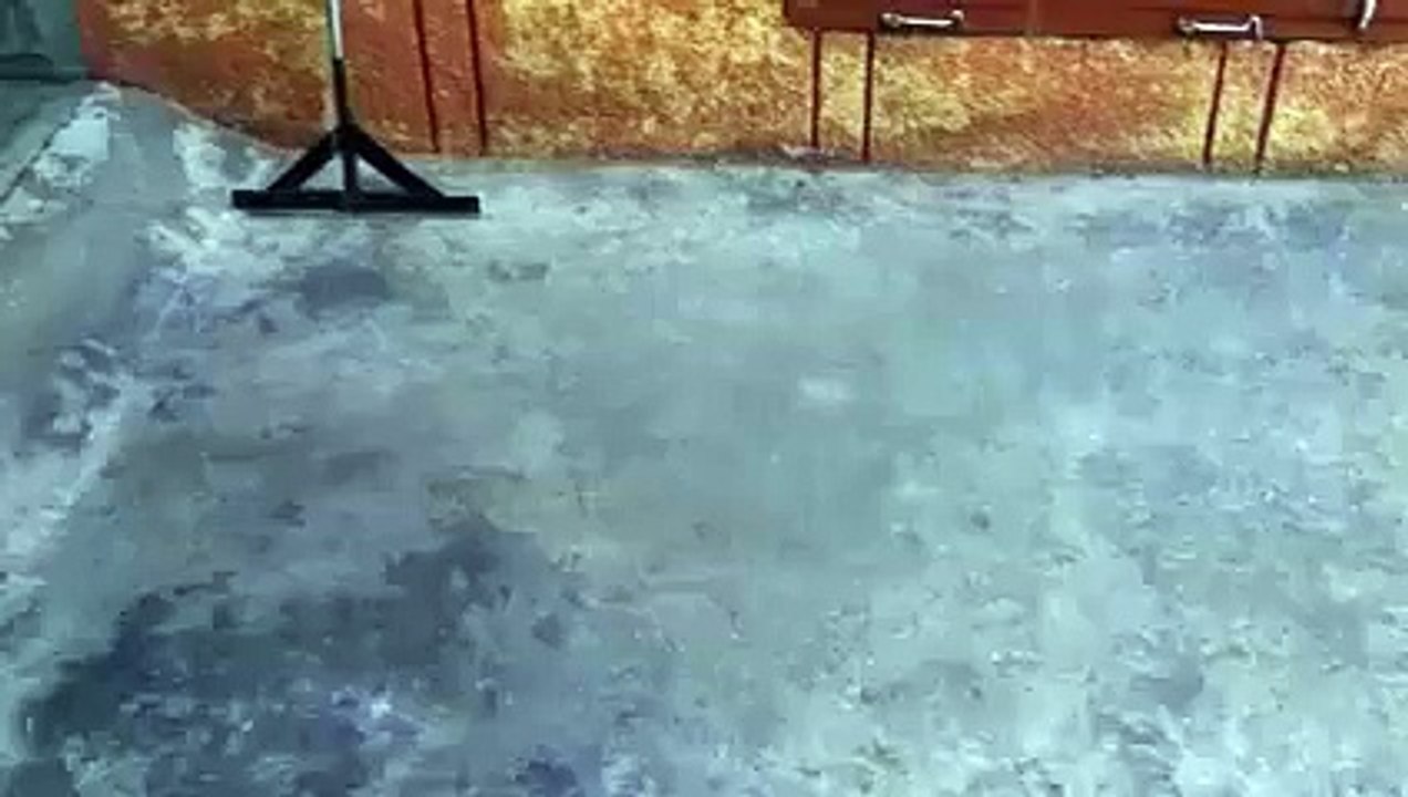 raining in punjab