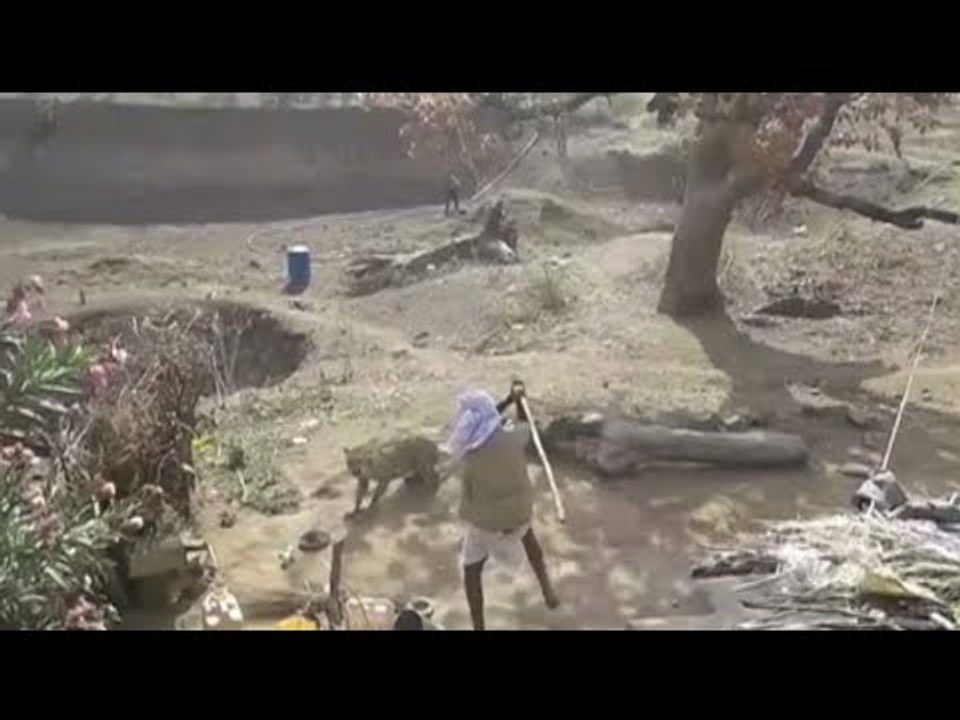 'Indian Bear Grylls' battles leopard with stick, saved by sniper stone throw