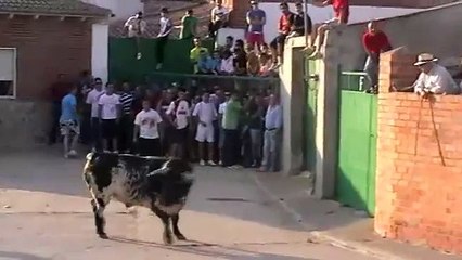 villaverde.2012 cogida toro de cajon