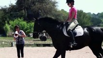 Horse Dressage Vid.mov