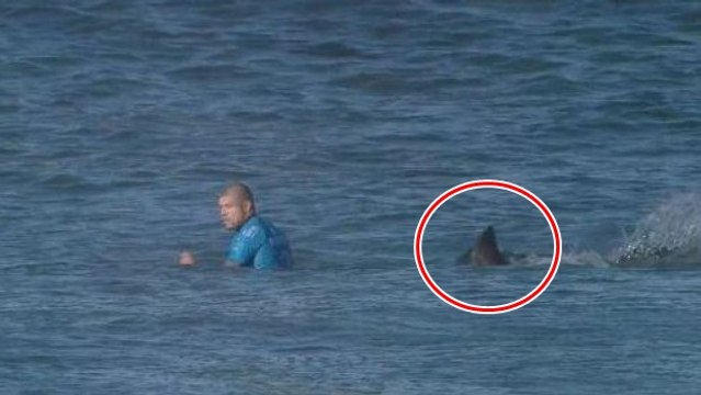 Mick Fanning clashes with shark in South Africa
