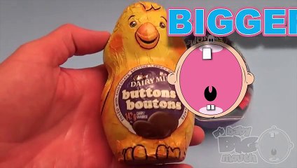 Learn Sizes with Surprise Eggs! Opening Surprise Eggs Filled with Chocolate!