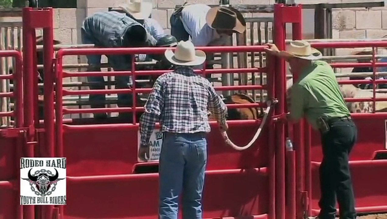 Kinder-Rodeo - Kinder reiten auf Schafen & STIEREN _ Bullenreiten (480p)