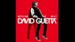 David Guetta - The Alphabeat (NOTHING BUT THE BEAT) New Album 2011