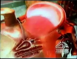 Faenas de Campo Vaqueria Tulua 2010  (2-3)