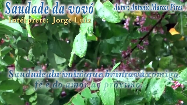 SAUDADE DA VOVÓ - JORGE LUIZ (AUTOR ANTONIO MARCOS PIRES)