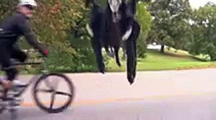 Joggers freak out as spooky skeleton haunts them in prank _ Daily Mail Online