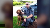 Beloved Police Dog Died After Being Locked In Patrol Car For Hours