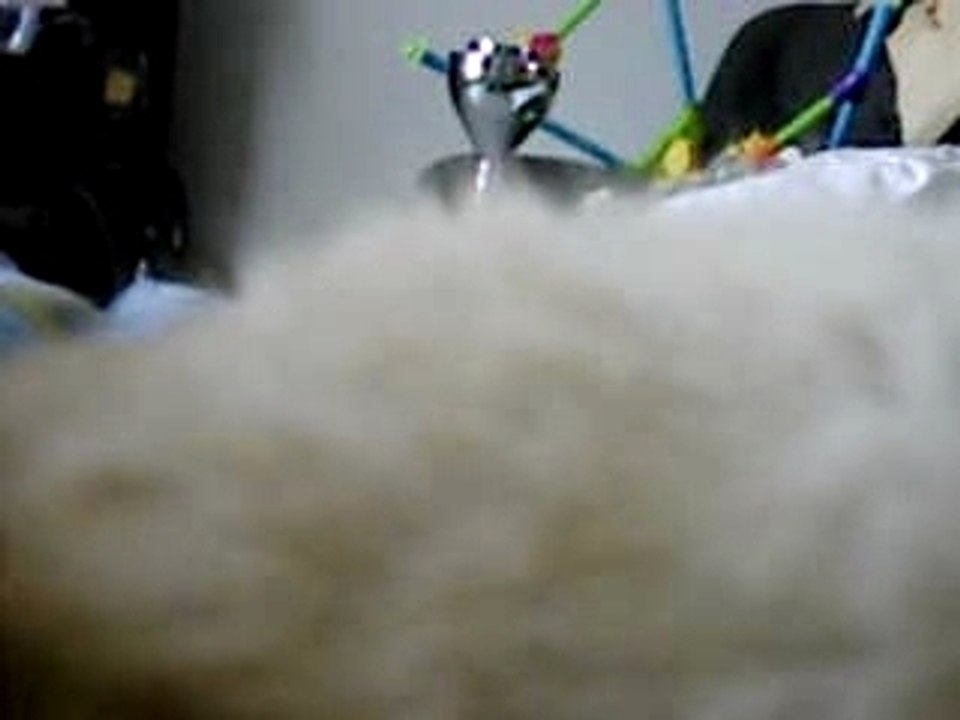 ventre kitine (bébé)