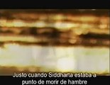 Vida de Buda (En inglés con subtítulos en español) 04