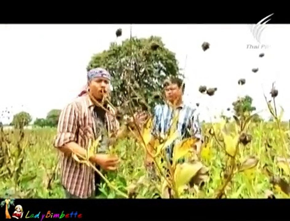 ภัตตาคารบ้านทุ่ง - แก่นตะวัน 2Sep12