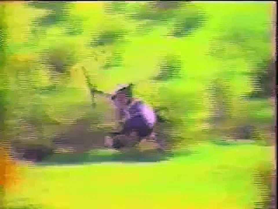 FFAA Chile,  Chilean Army, Armed Forces Chile