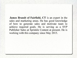 James Brandt of Fairfield, CT Has Worked For Ntent For Four Years