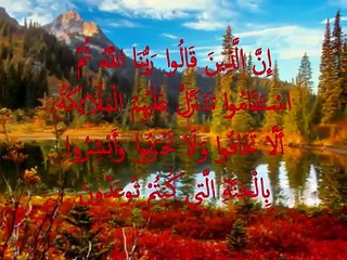 shiekh muammar za - surah ' FUSSILAT ' verse 30 - 39