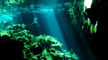 Cave diving in cenote Minotauro