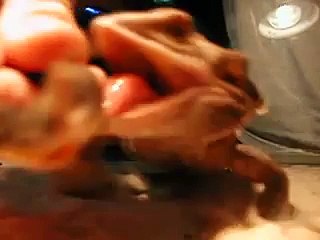 lizard death by bearded dragon with fight