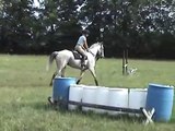 7 Year old thoroughbred event/steeplechase prospect For Sale
