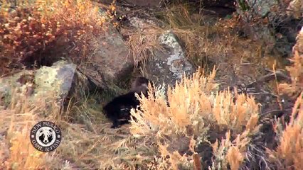 Why Cover Is Essential for Your Safety and Success 🛡️