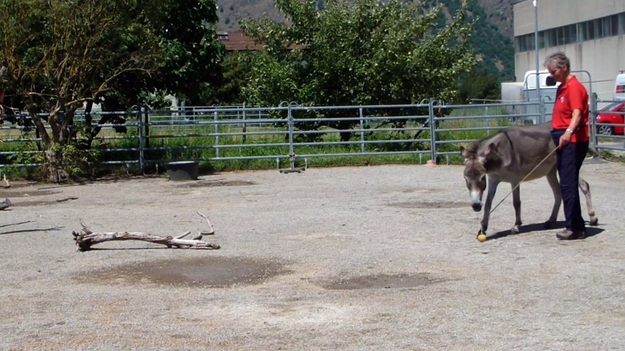 La cible avec Merlin