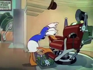 Donald Duck & Friend : Crazy With The Heat, Donald's Garden, Mo