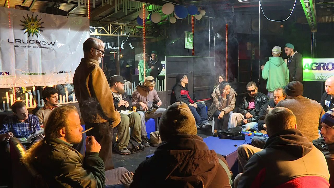 Weed farmers compete for Cannabis Cup in Uruguay